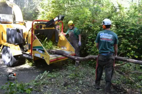 tree services Sacaton Flats Village